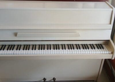 Steinmann